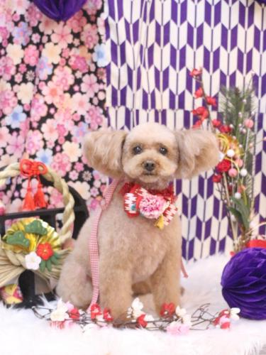 20250126メルちゃん